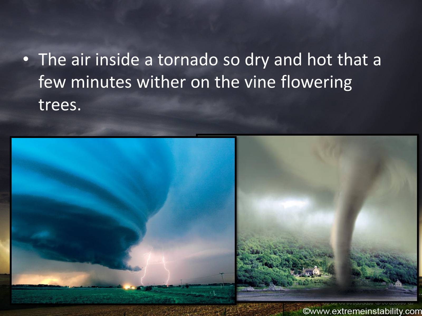 Презентація на тему «Tornado» (варіант 1) - Слайд #5