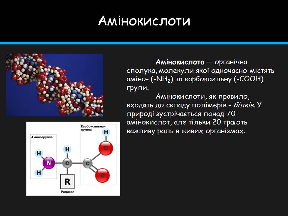 Презентація на тему «Амінокислоти» (варіант 4) - Слайд #3