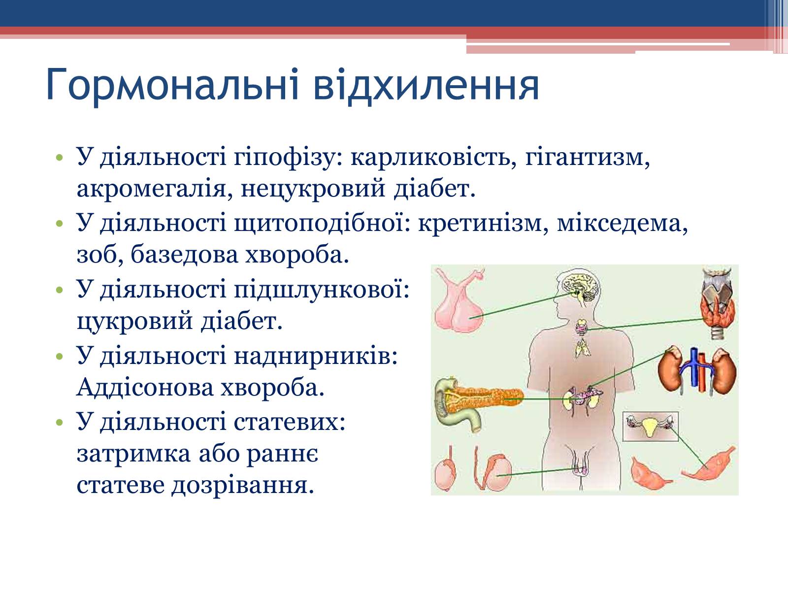 Презентація на тему «Порушення гормональних функцій ендокринних залоз» - Слайд #2