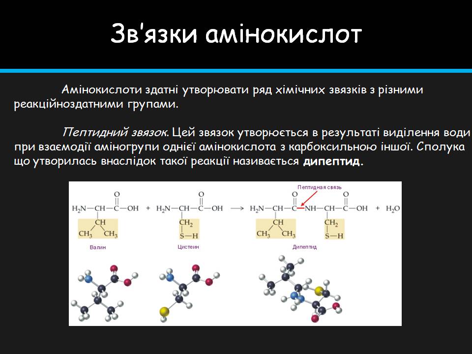 Презентація на тему «Амінокислоти» (варіант 4) - Слайд #17