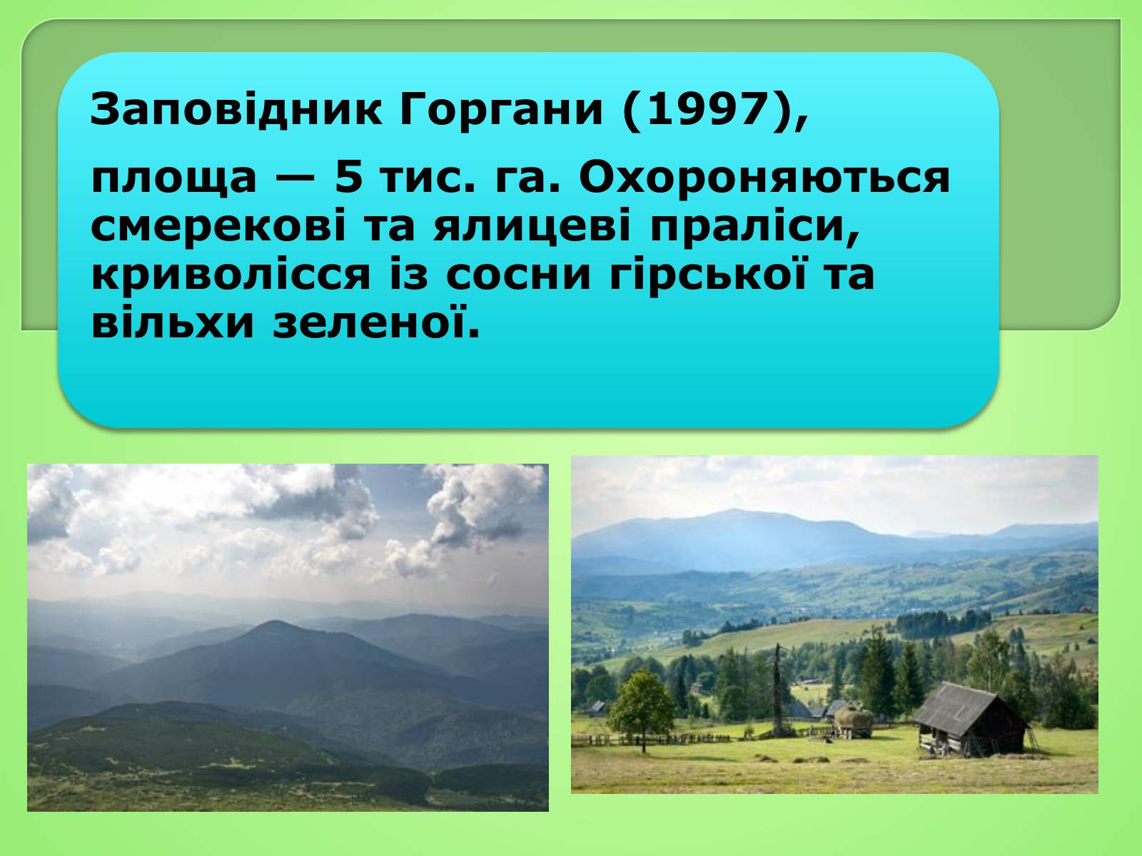 Презентація на тему «Українські Карпати» (варіант 4) - Слайд #14