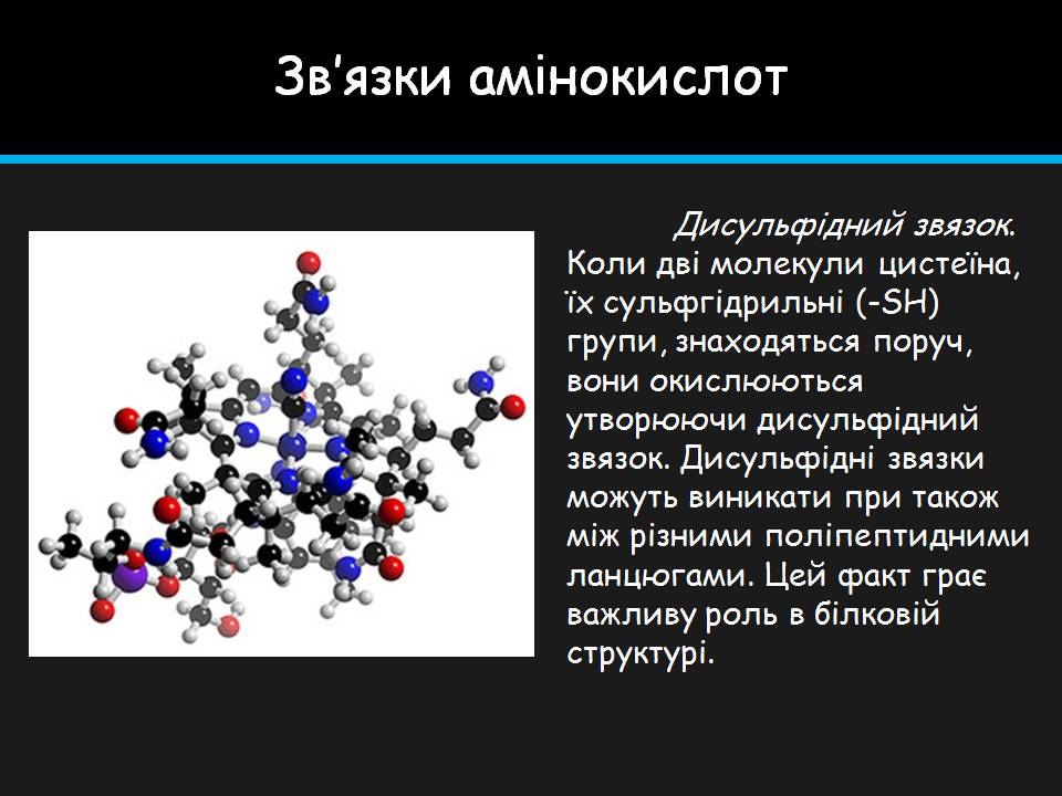 Презентація на тему «Амінокислоти» (варіант 4) - Слайд #19