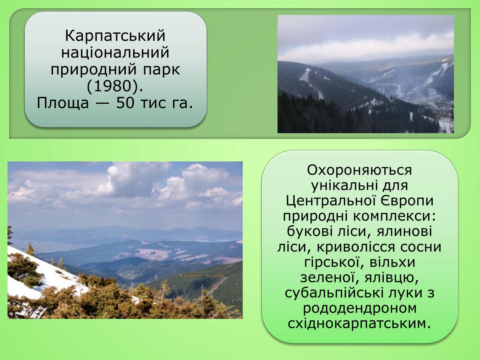 Презентація на тему «Українські Карпати» (варіант 4) - Слайд #16