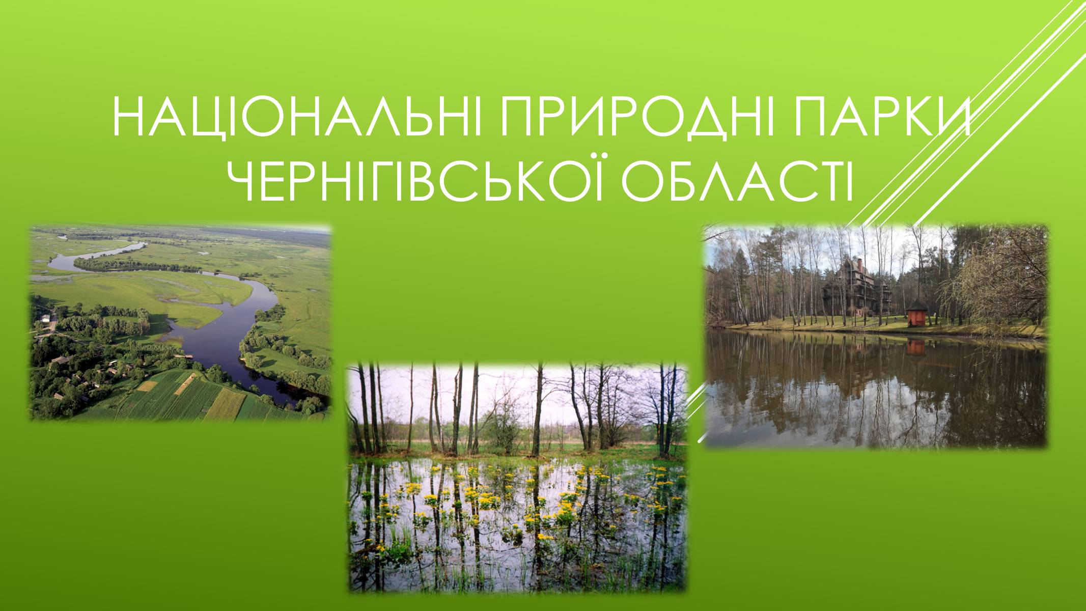 Презентація на тему «Національні Природні парки Чернігівської області» - Слайд #1