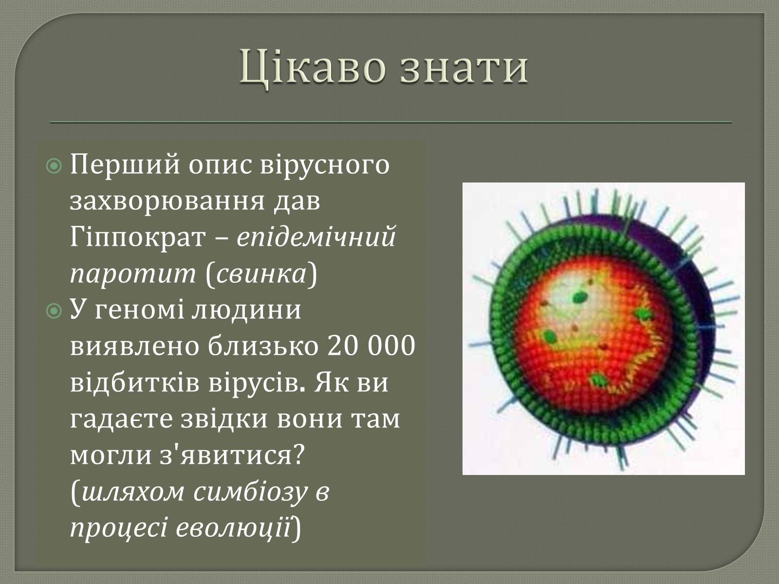 Презентація на тему «Роль вірусів у природі та житті людини» - Слайд #11