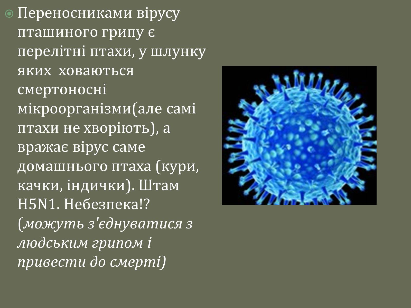 Презентація на тему «Роль вірусів у природі та житті людини» - Слайд #12