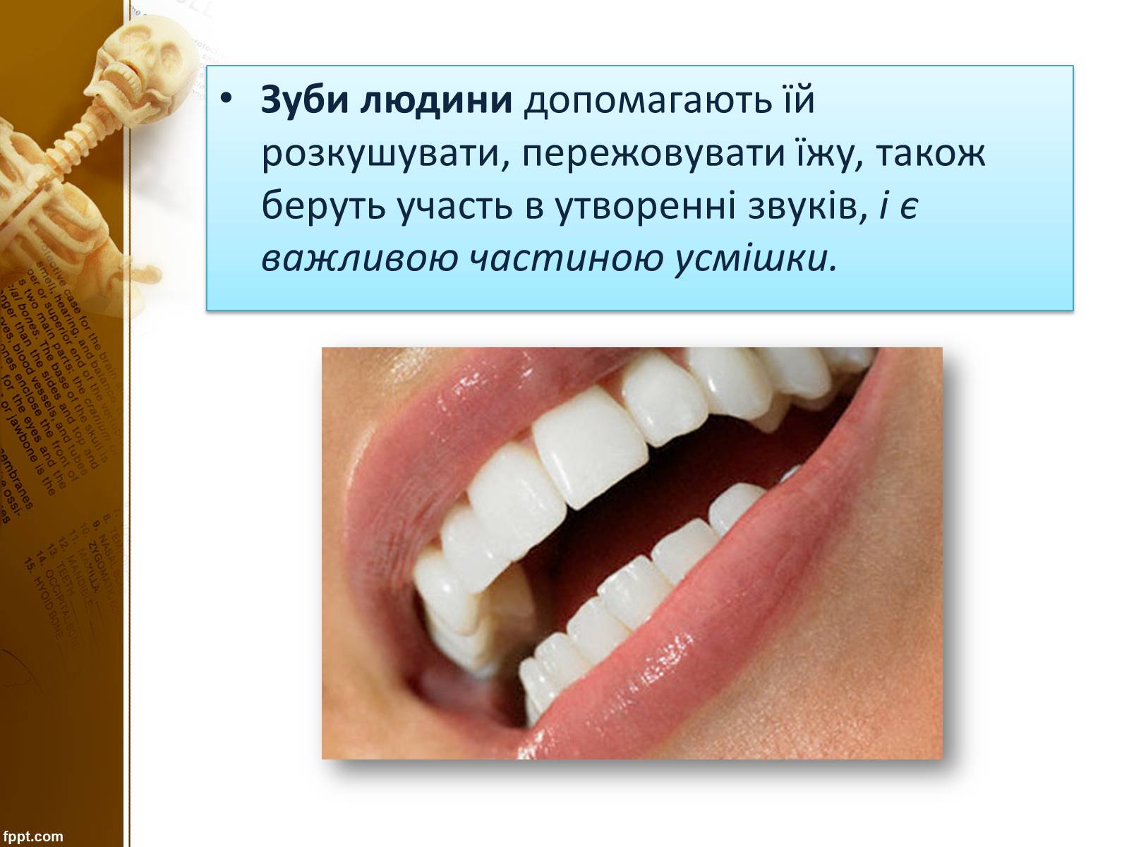 Презентація на тему «Бережіть свої зуби» - Слайд #3