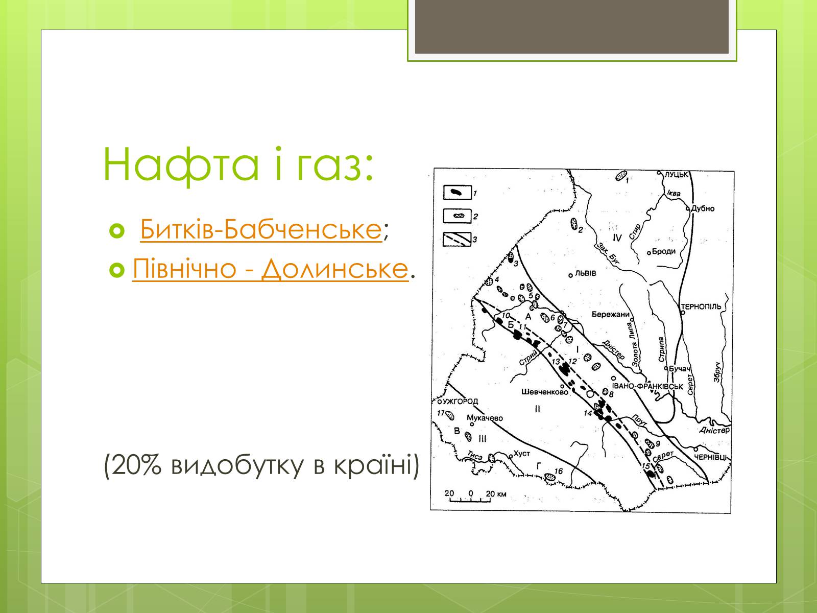 Презентація на тему «Карпатський економічний район» (варіант 4) - Слайд #9