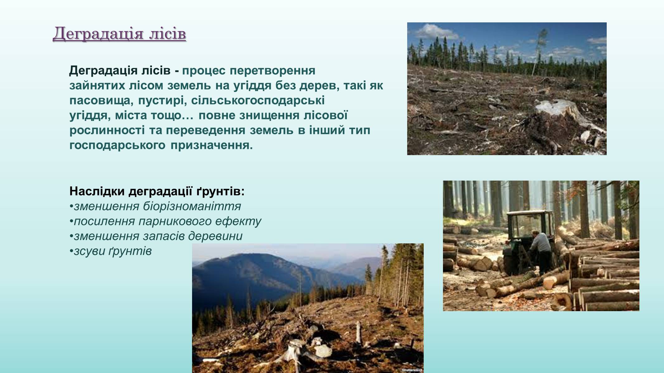 Презентація на тему «Проблема деградації природи» (варіант 2) - Слайд #11