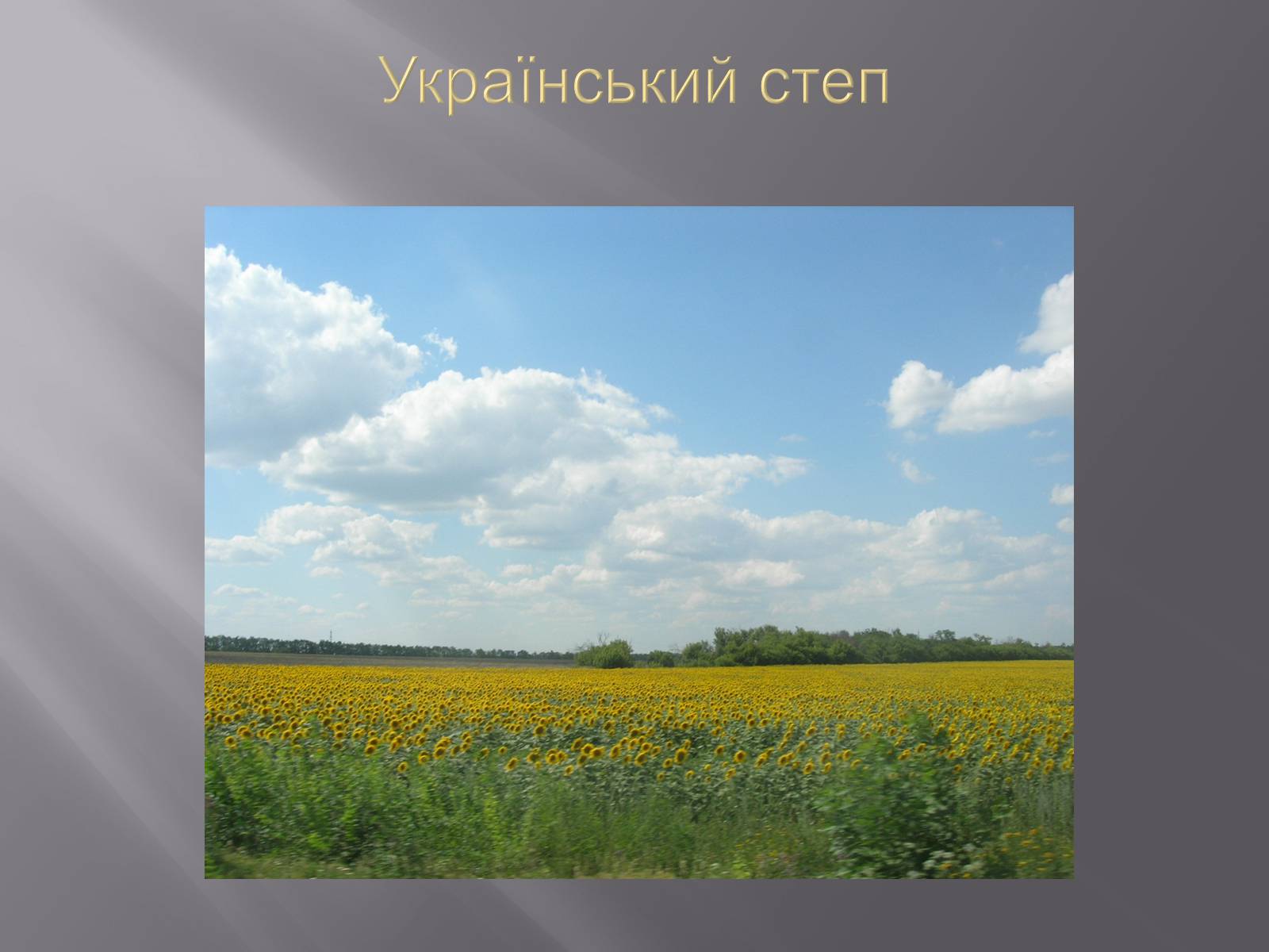 Презентація на тему «Український степ» - Слайд #1