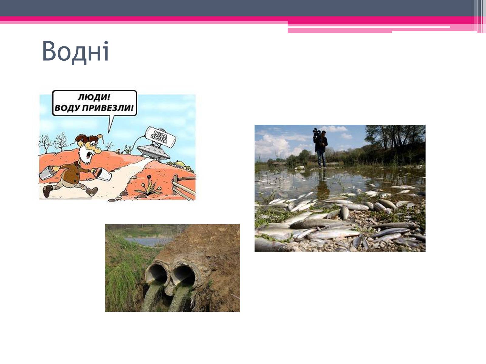 Презентація на тему «Екологічні проблеми» (варіант 3) - Слайд #4