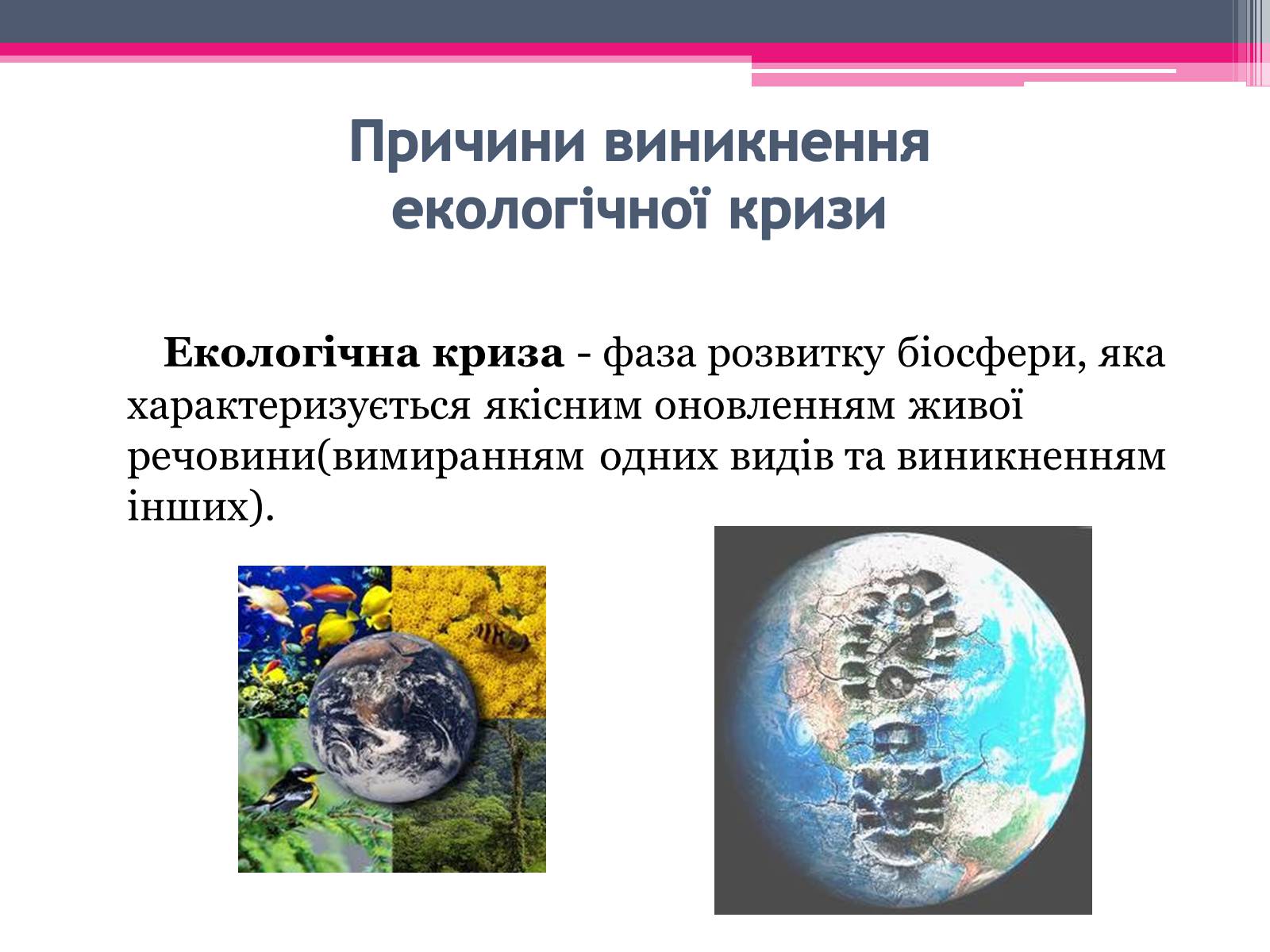 Презентація на тему «Екологічні проблеми» (варіант 3) - Слайд #9