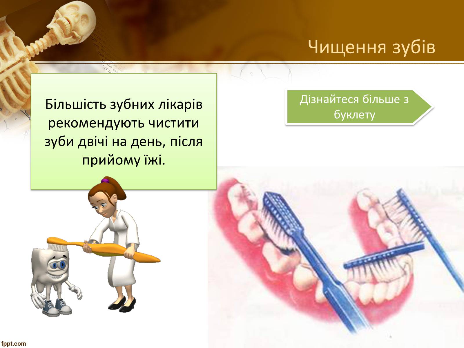 Презентація на тему «Бережіть свої зуби» - Слайд #23