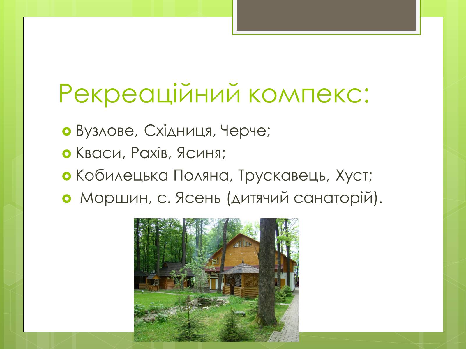 Презентація на тему «Карпатський економічний район» (варіант 4) - Слайд #29