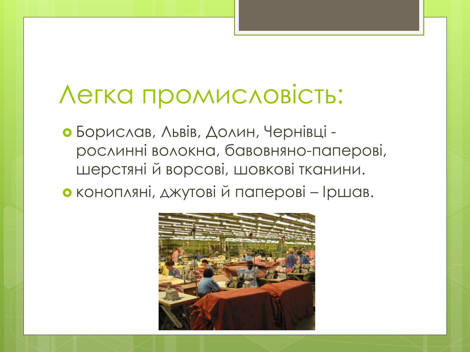 Презентація на тему «Карпатський економічний район» (варіант 4) - Слайд #31