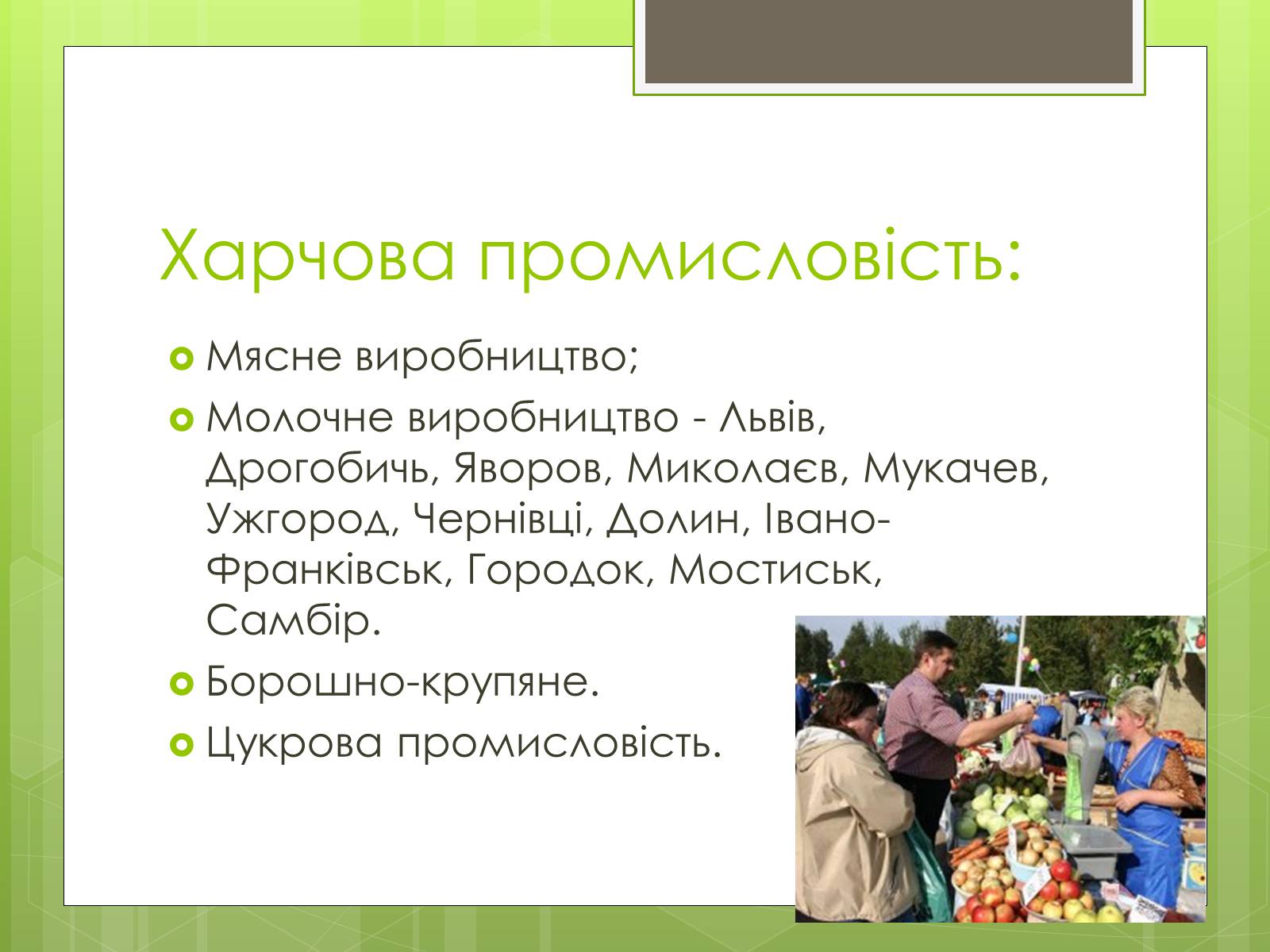 Презентація на тему «Карпатський економічний район» (варіант 4) - Слайд #33