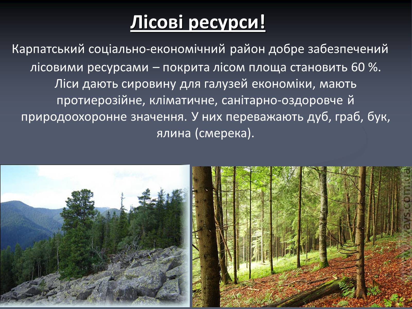 Презентація на тему «Карпатський економічний район» (варіант 5) - Слайд #11