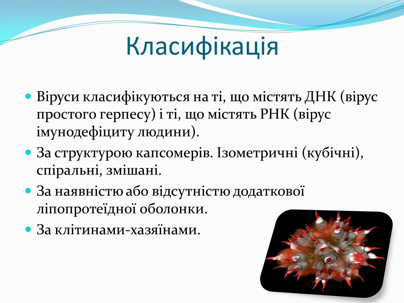 Презентація на тему «Неклітинні форми життя: віруси» - Слайд #11