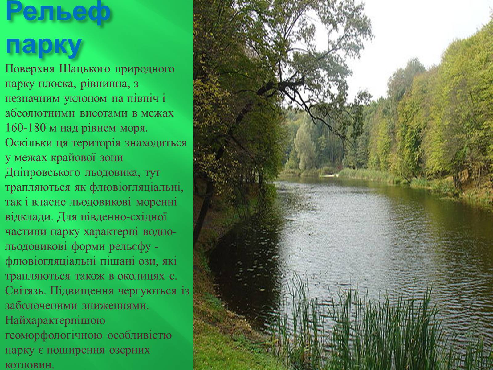 Презентація на тему «Шацький національний природний парк» (варіант 2) - Слайд #4