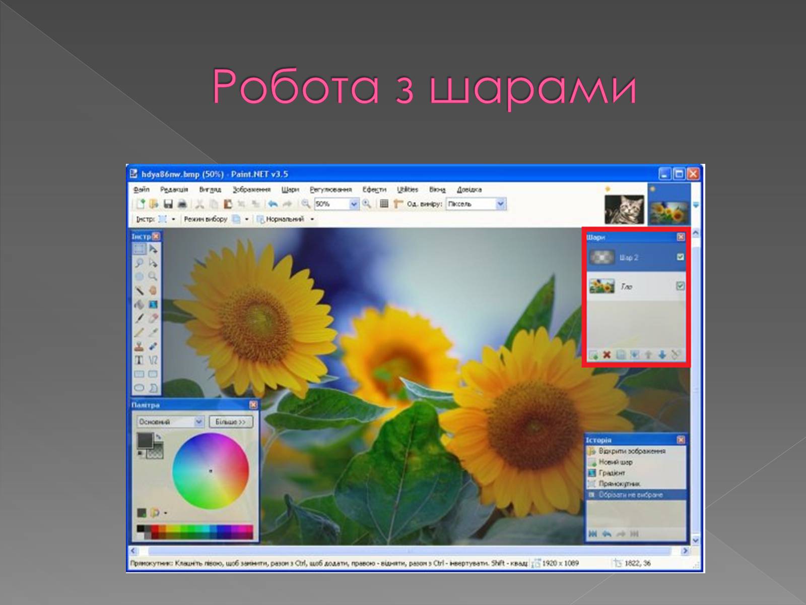 Презентація на тему «Paint.NET» - Слайд #5