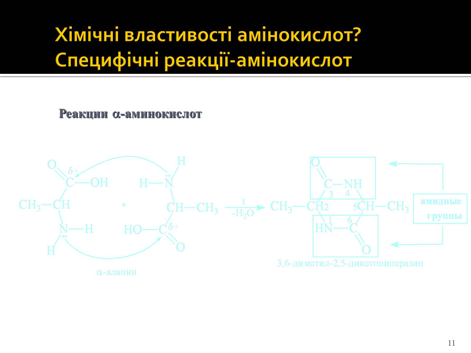 Презентація на тему «Амінокислоти. Історія їх відкриття» - Слайд #11