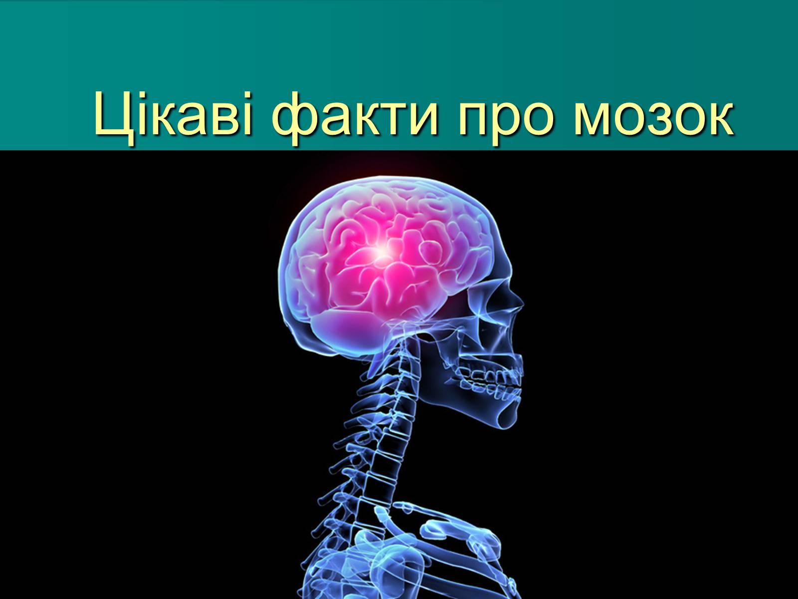 Презентація на тему «Цікаві факти про мозок» - Слайд #1