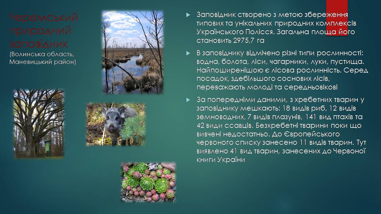 Презентація на тему «Заповідна мережа України» (варіант 7) - Слайд #8