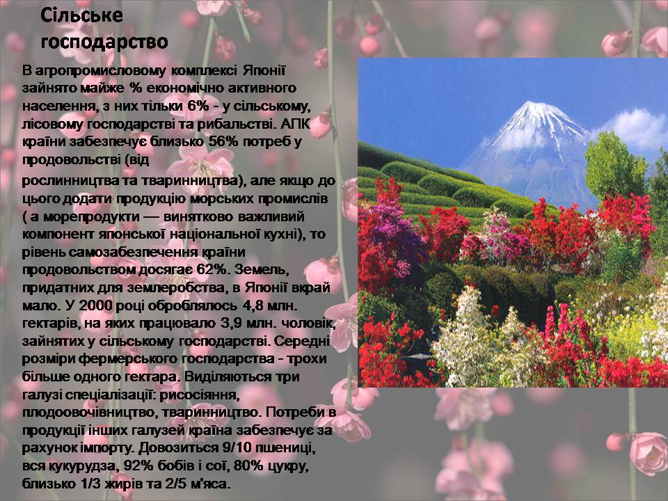 Презентація на тему «Японія» (варіант 53) - Слайд #11