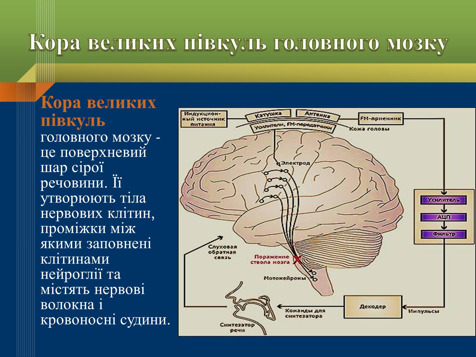 Презентація на тему «Мислення та свідомість людини» - Слайд #2