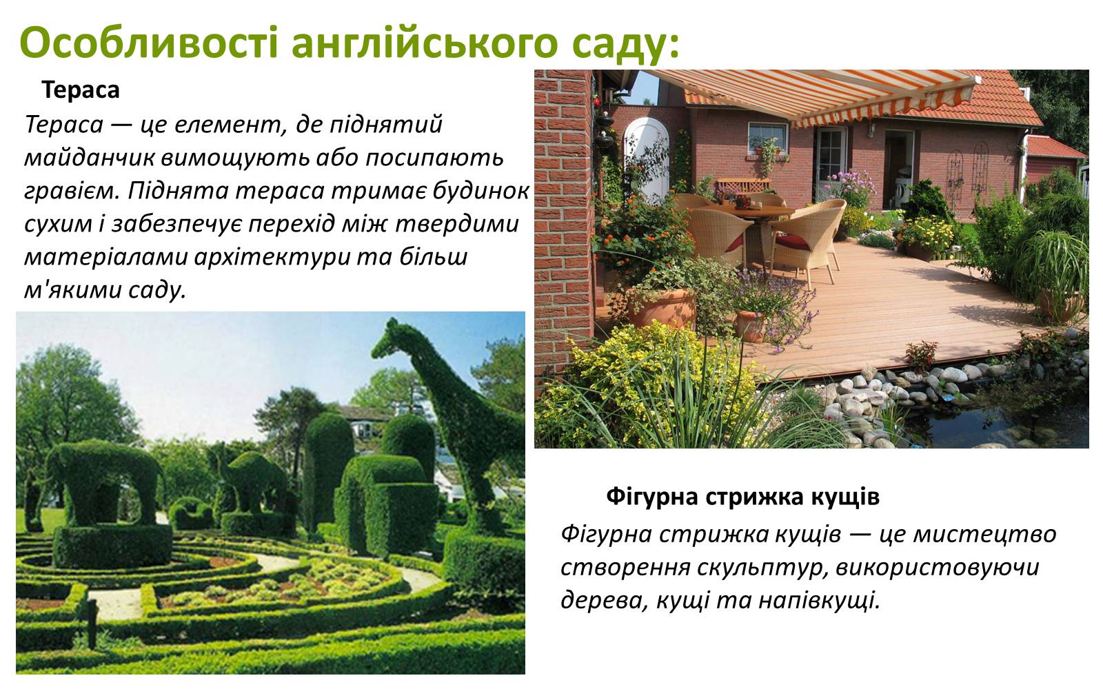 Презентація на тему «Англійський сад» (варіант 3) - Слайд #6 Презентація на тему «Англійський сад» (варіант 3) - Слайд #6