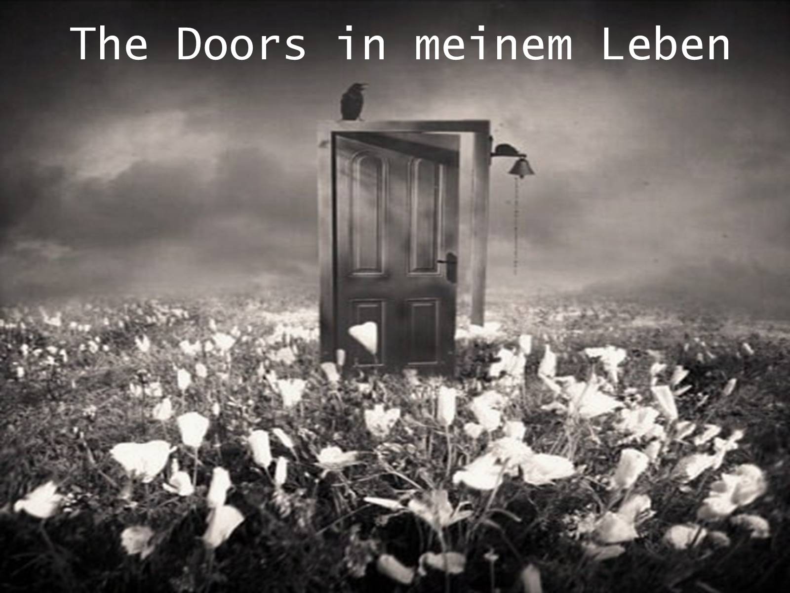 Презентація на тему «Meine Lieblingsband - The Doors» - Слайд #11