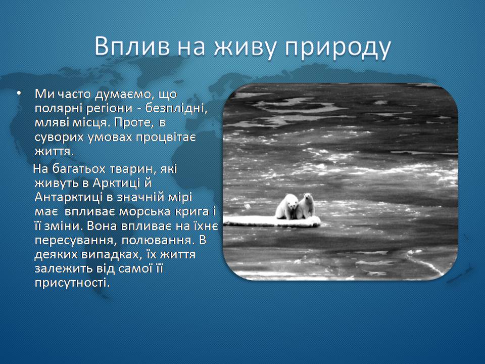 Презентація на тему «Морська крига» (варіант 1) - Слайд #7