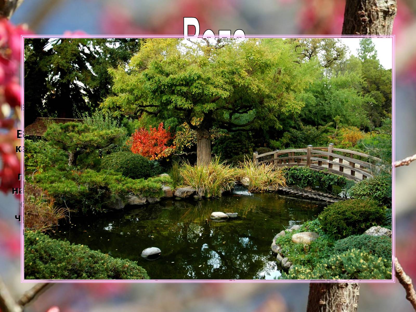 Презентація на тему «Садово-паркове мистецтво Японії» (варіант 1) - Слайд #7