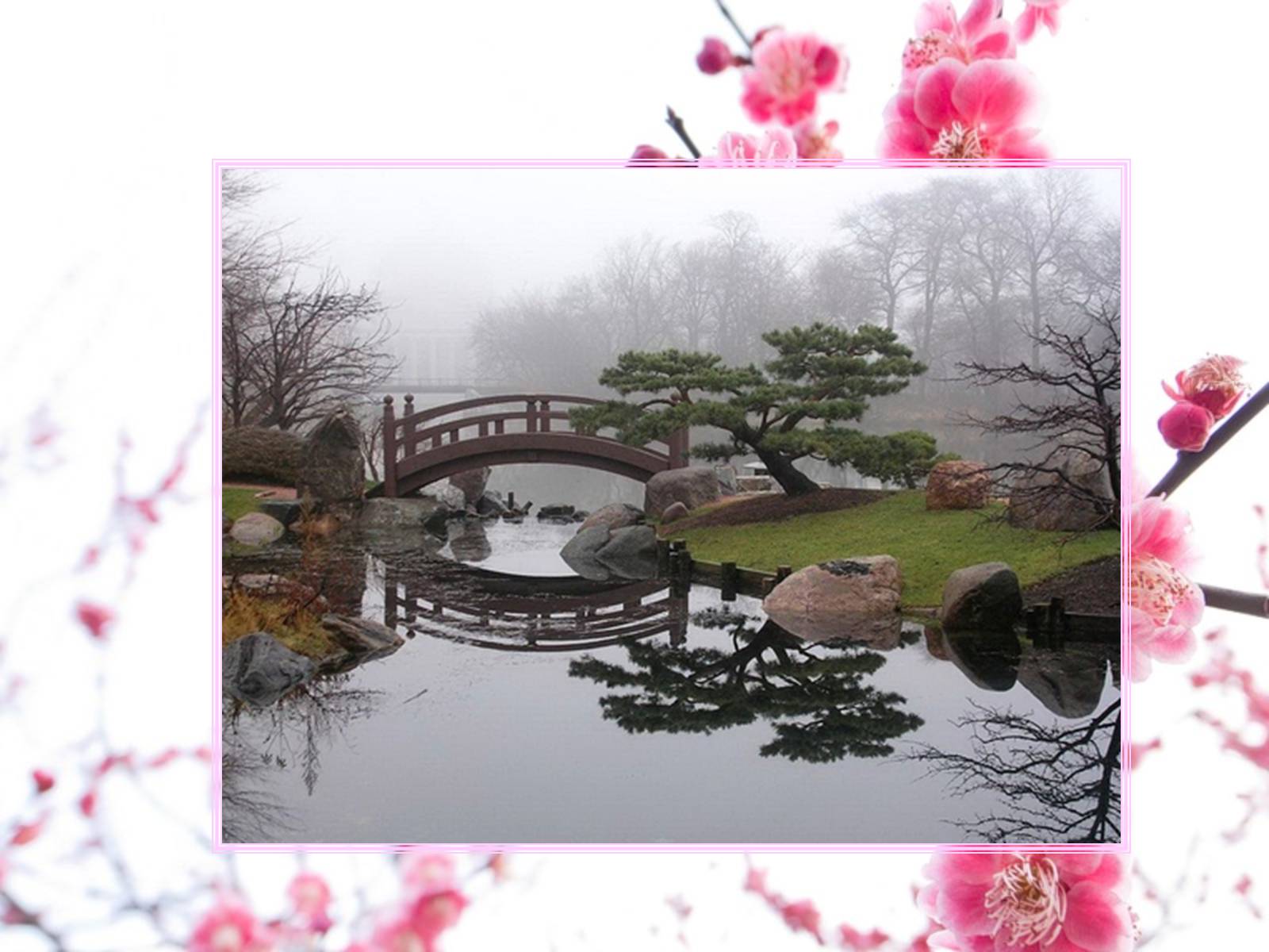 Презентація на тему «Садово-паркове мистецтво Японії» (варіант 1) - Слайд #8