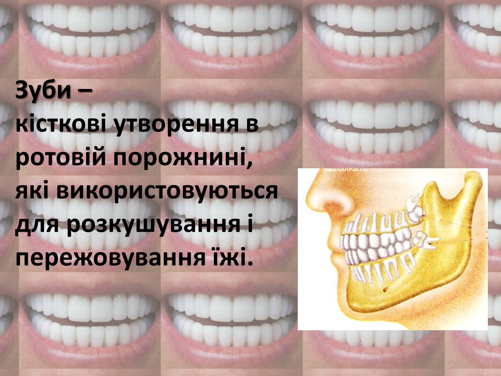 Презентація на тему «Зуби» (варіант 2) - Слайд #2