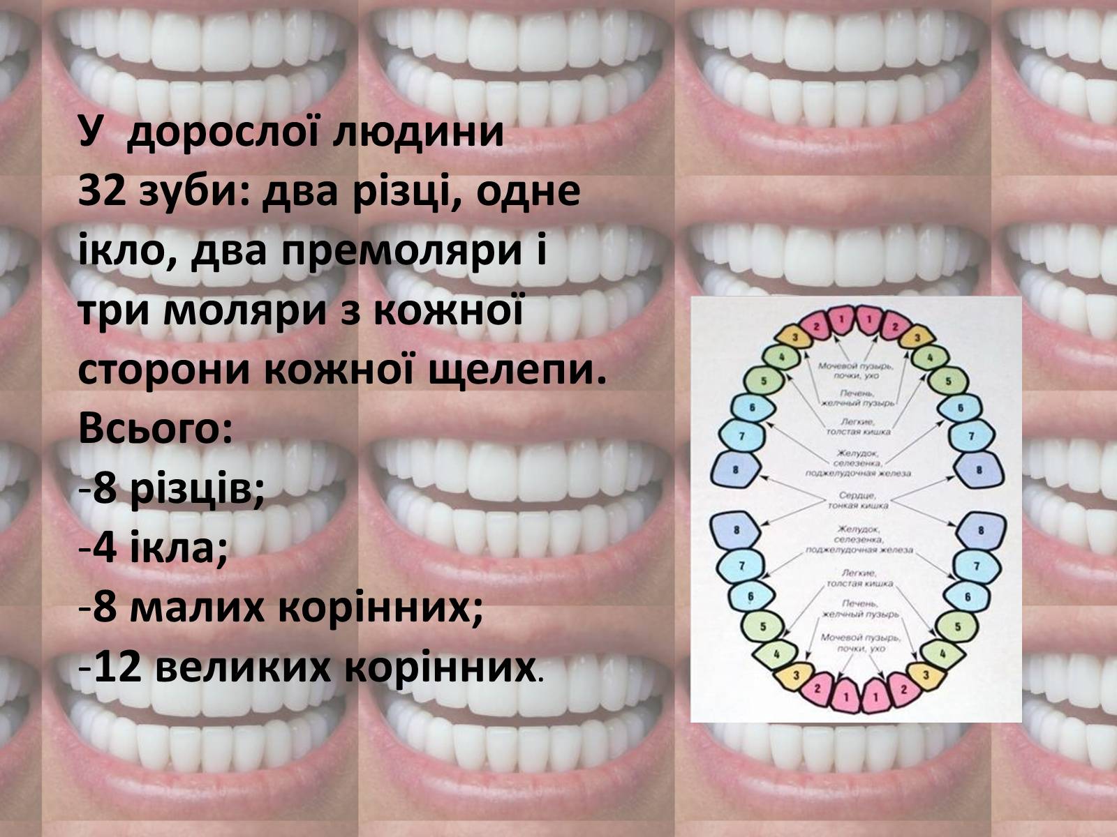 Презентація на тему «Зуби» (варіант 2) - Слайд #3