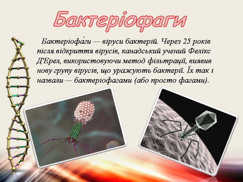 Презентація на тему «Віруси та бактеріофаги» - Слайд #9