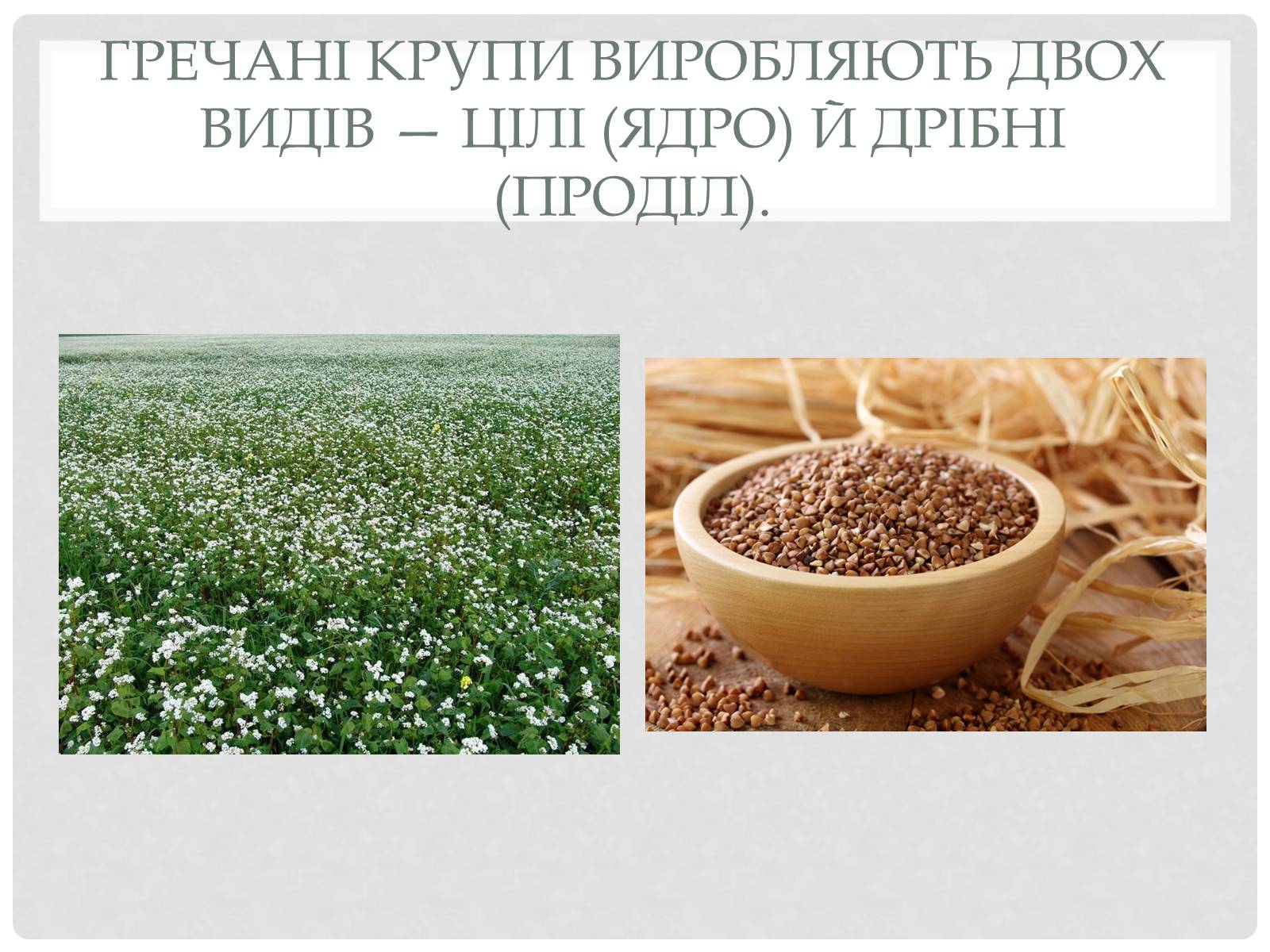 Презентація на тему «Технологія приготування традиційних українських страв з круп» - Слайд #5