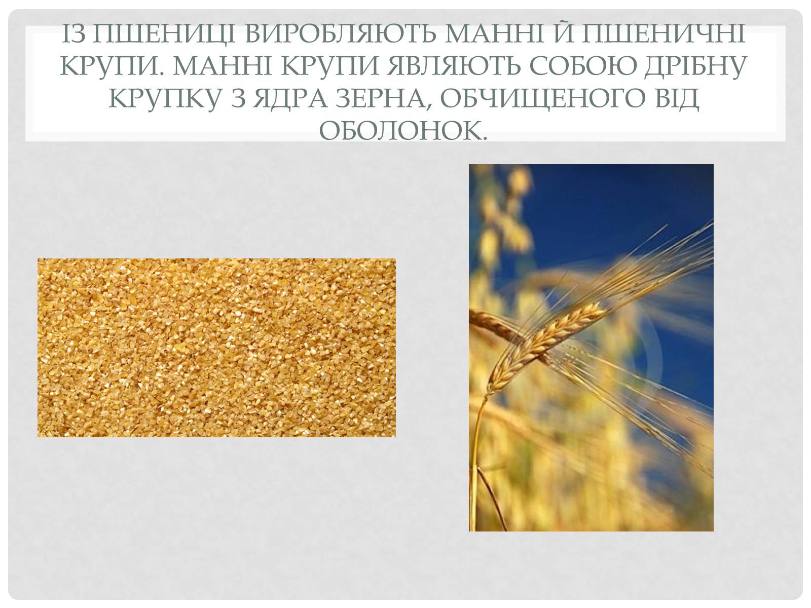 Презентація на тему «Технологія приготування традиційних українських страв з круп» - Слайд #9