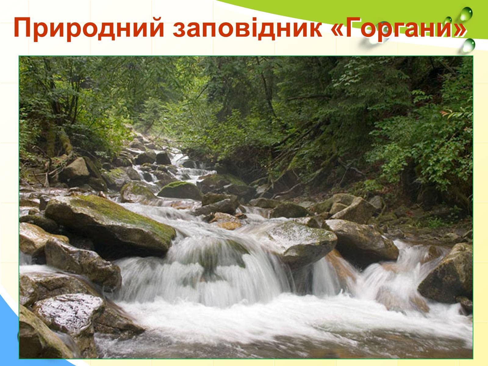 Презентація на тему «Природні заповідники України» (варіант 5) - Слайд #4