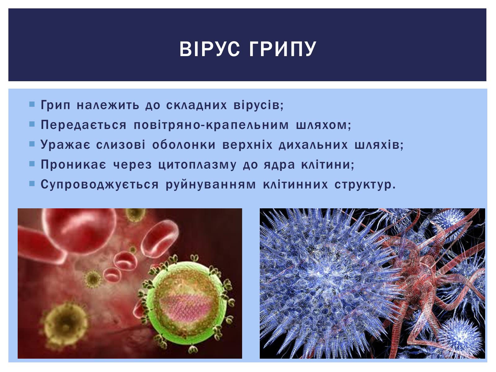 Презентація на тему «Роль вірусів у житті людини. Вірусні інфекції людини і тварин.» - Слайд #9