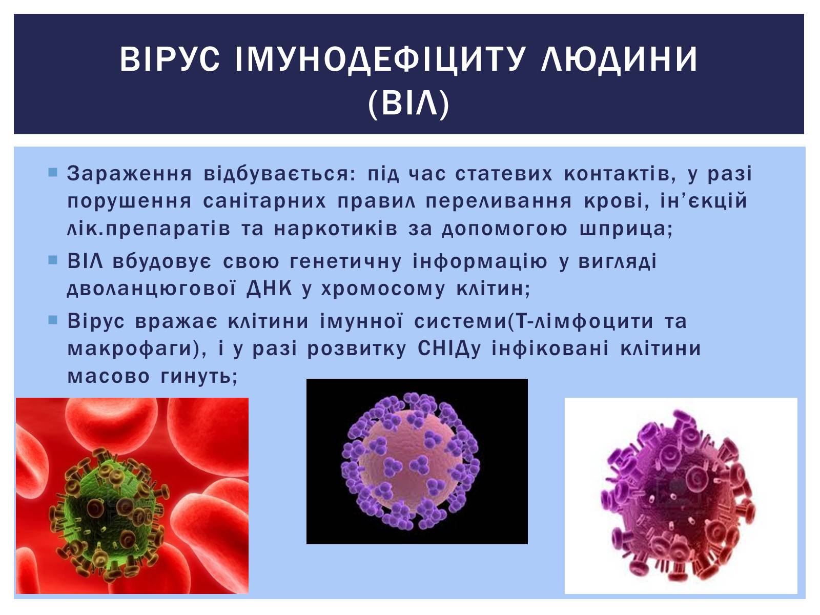 Презентація на тему «Роль вірусів у житті людини. Вірусні інфекції людини і тварин.» - Слайд #10