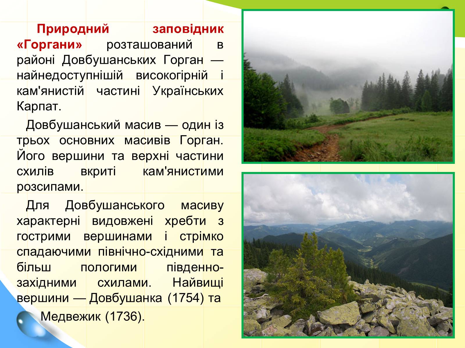 Презентація на тему «Природні заповідники України» (варіант 5) - Слайд #6