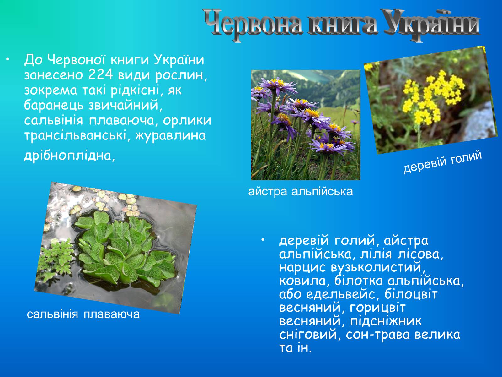 Презентація на тему «Охорона рослинного світу» - Слайд #6