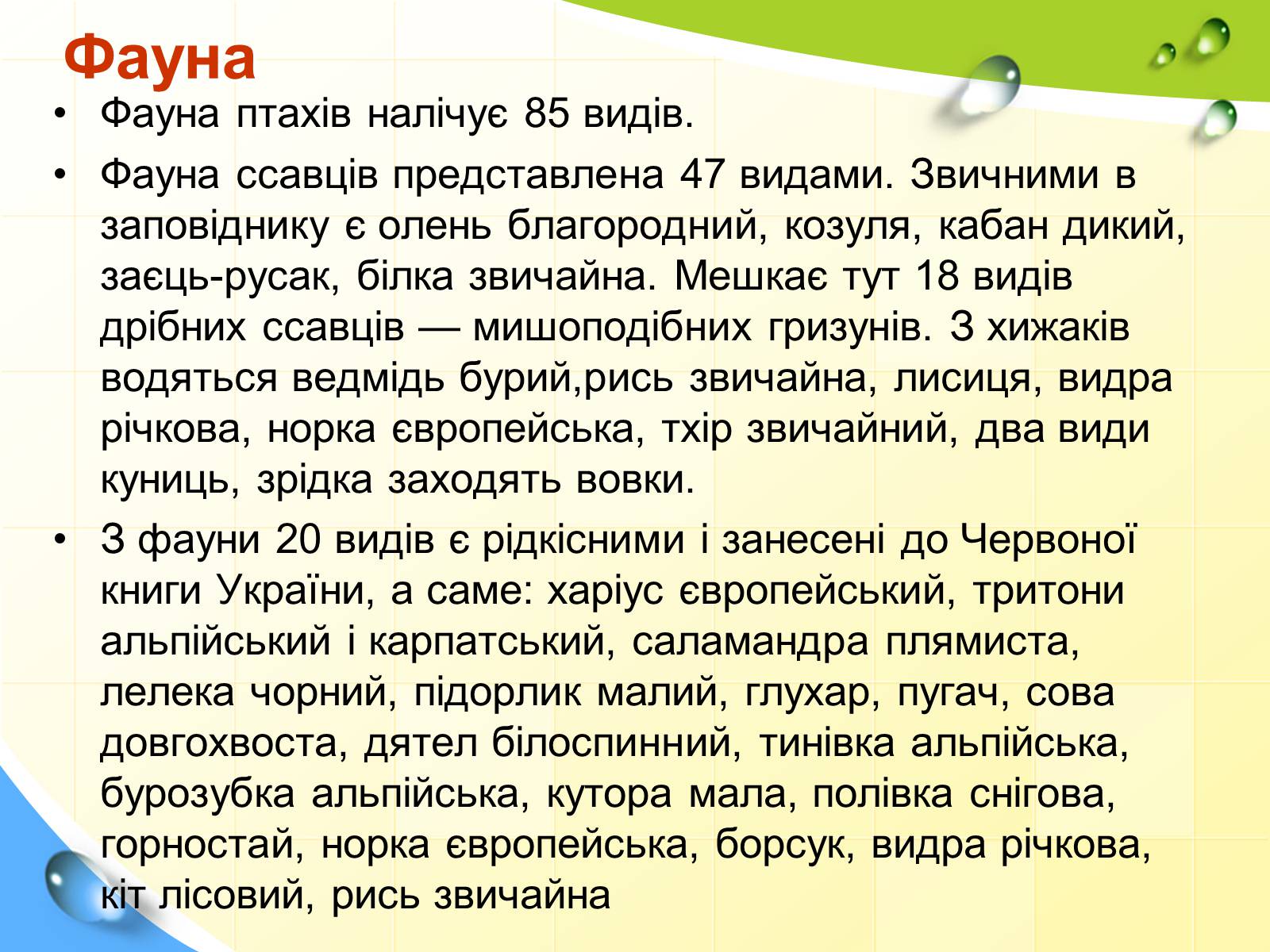 Презентація на тему «Природні заповідники України» (варіант 5) - Слайд #8