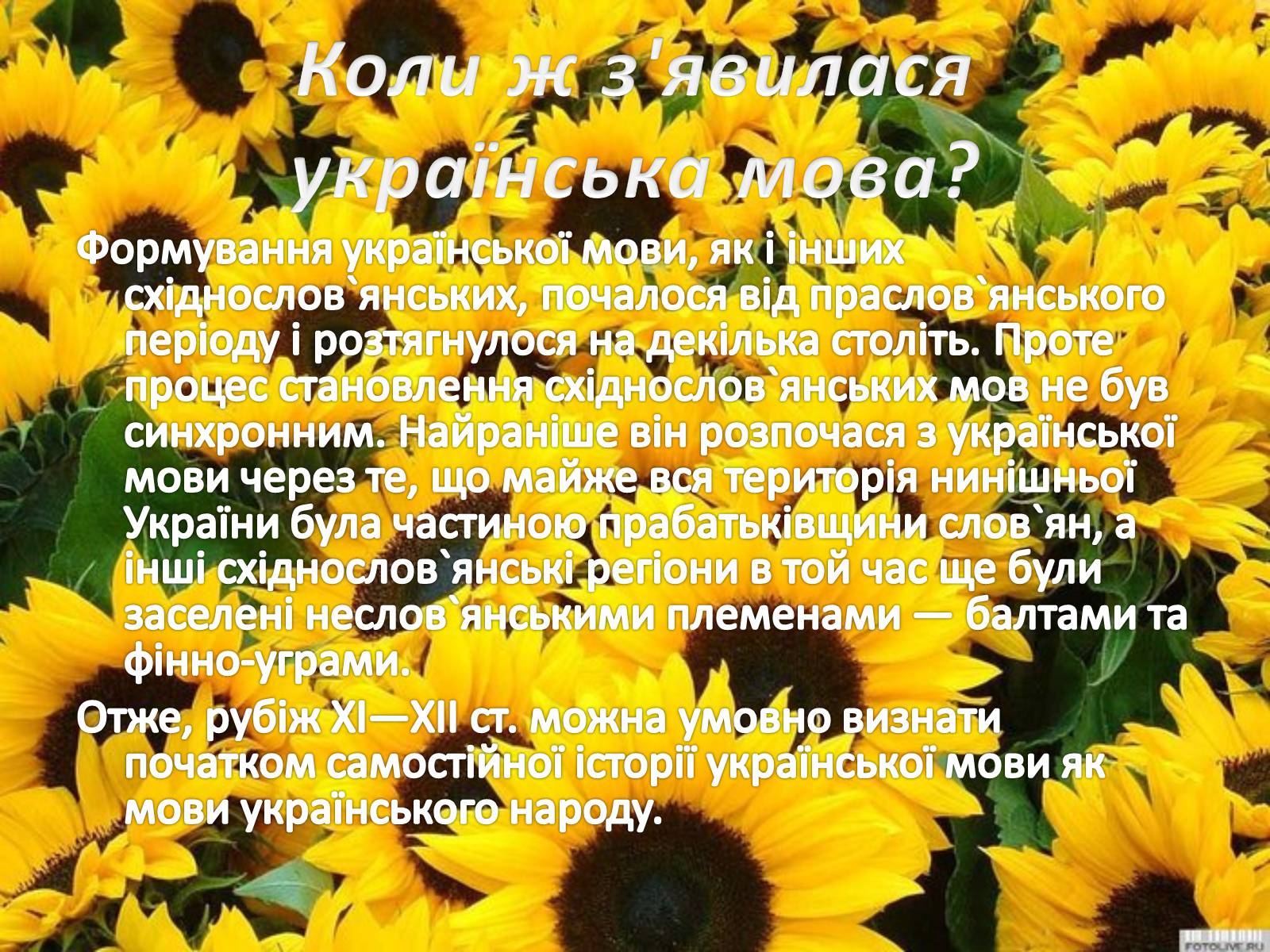 Презентація на тему «Українська мова» (варіант 1) - Слайд #3