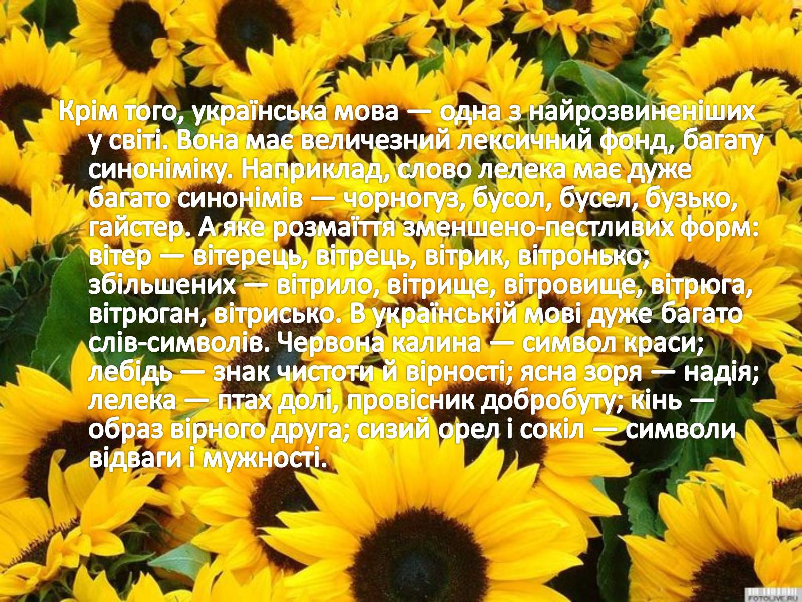 Презентація на тему «Українська мова» (варіант 1) - Слайд #5