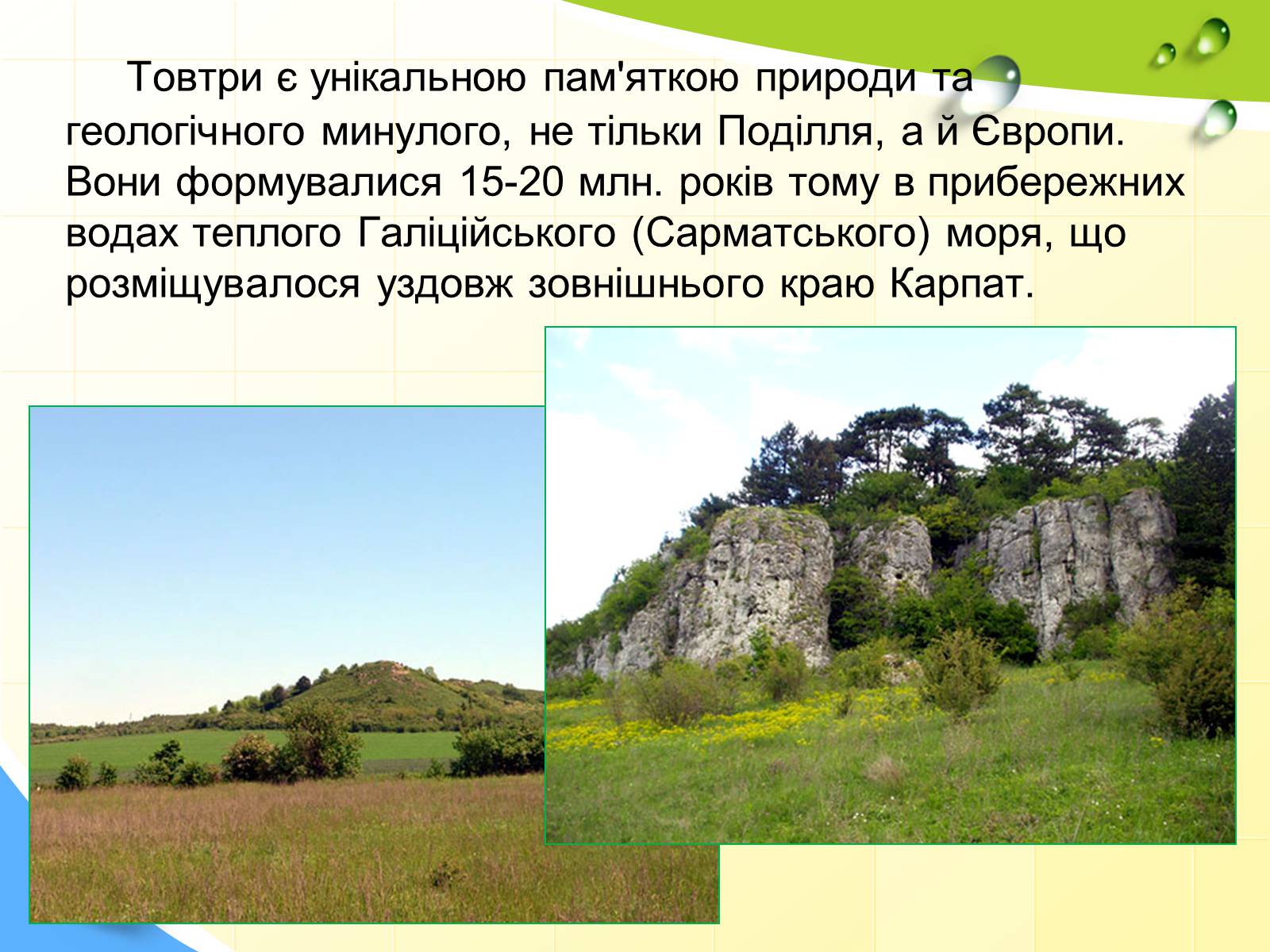 Презентація на тему «Природні заповідники України» (варіант 5) - Слайд #32