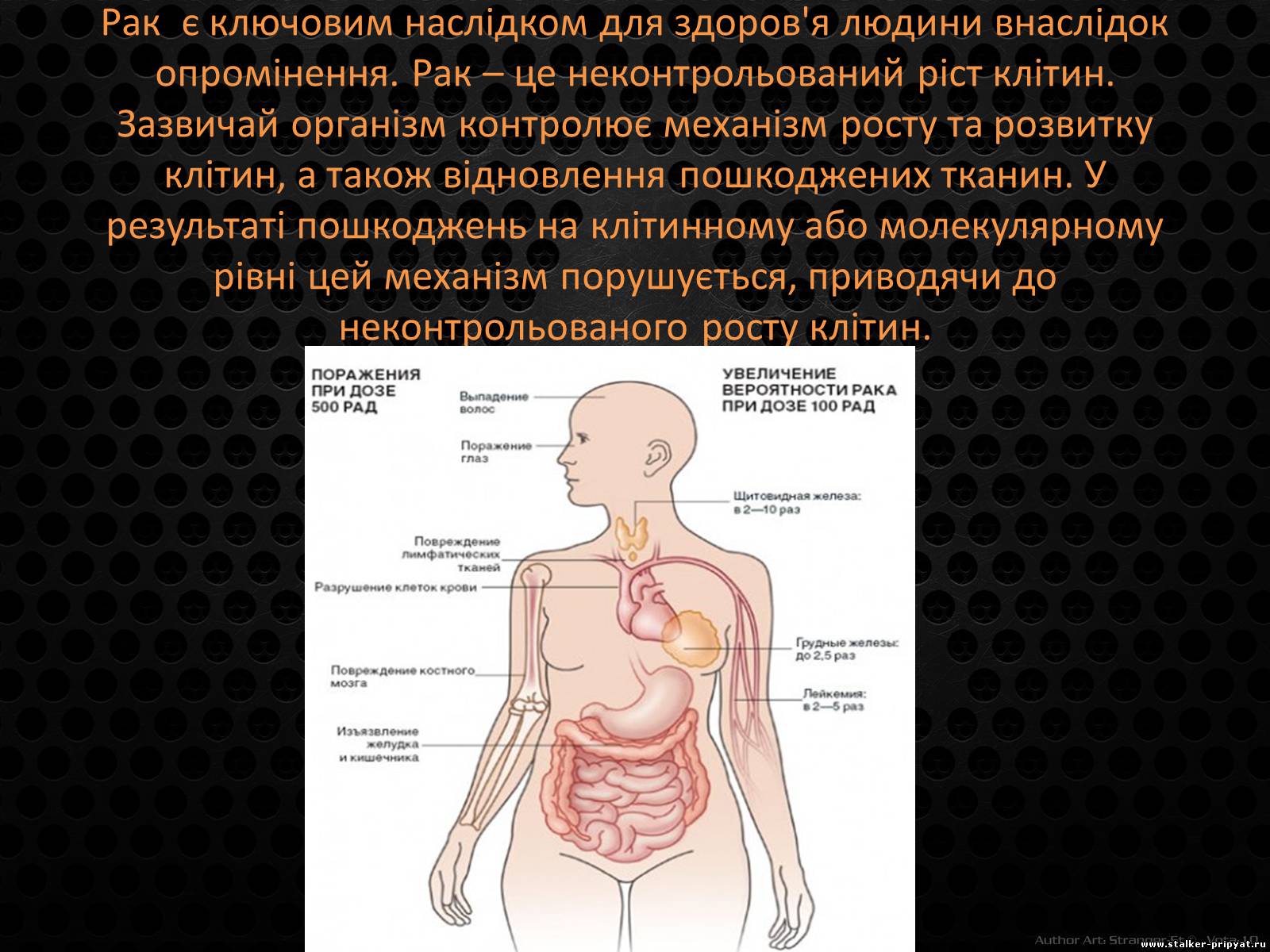 Презентація на тему «Наслідки впливу радіації на організм людини» - Слайд #6