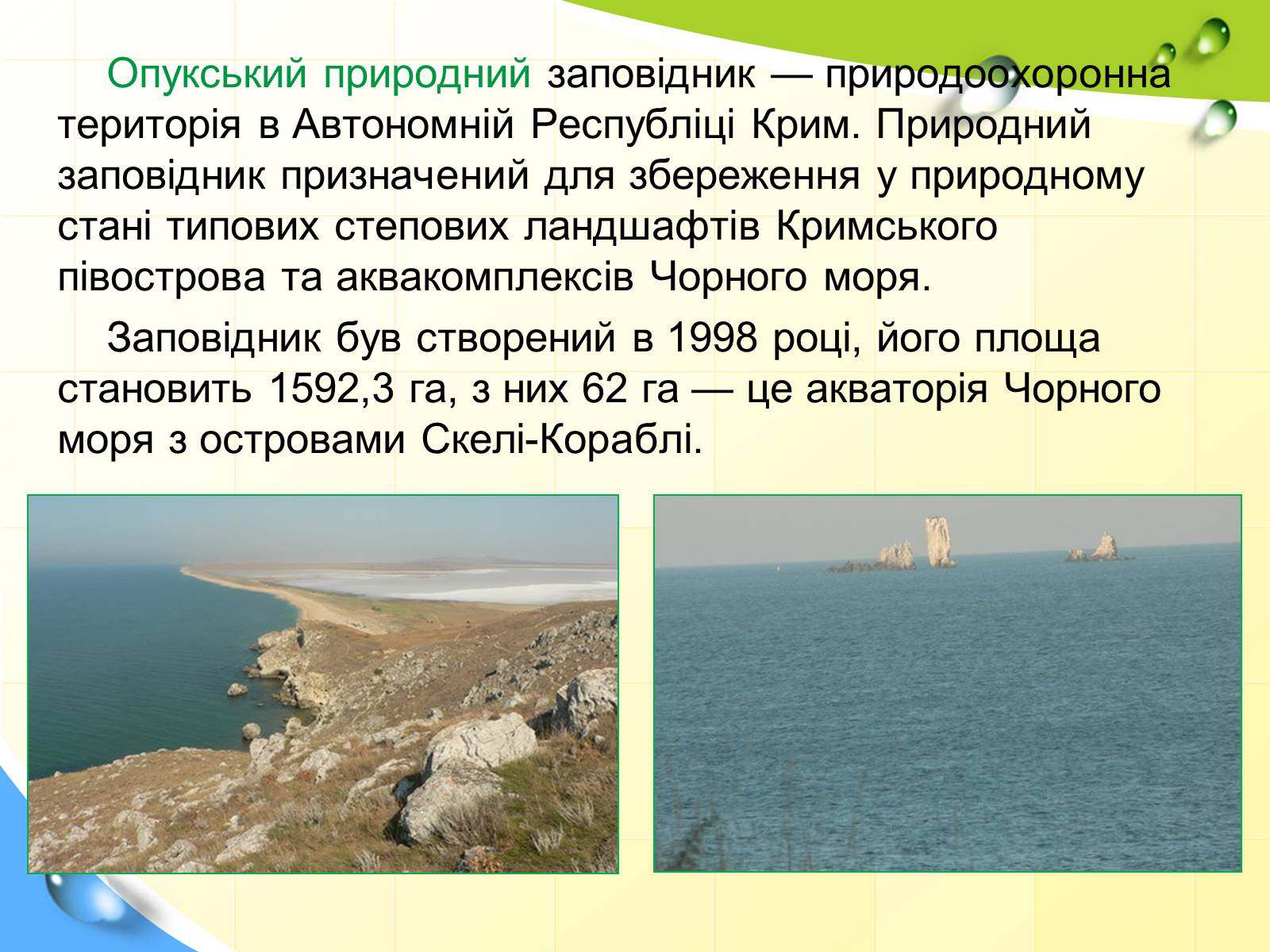 Презентація на тему «Природні заповідники України» (варіант 5) - Слайд #37